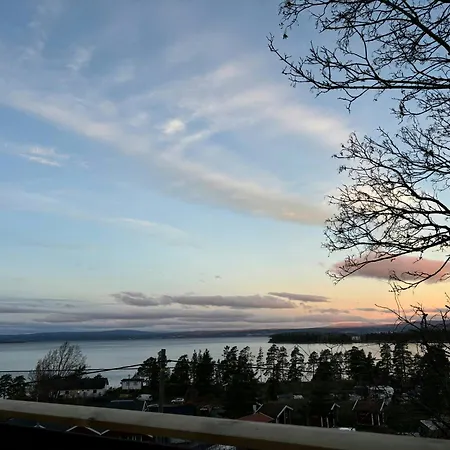 Family Cabin With Panoramic Views Of Tyrifjorden * Nes (Buskerud)