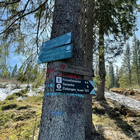 Family With Panoramic Views Of Tyrifjorden *