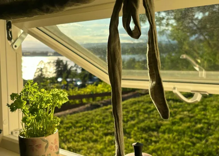 Family Cabin With Panoramic Views Of Tyrifjorden *