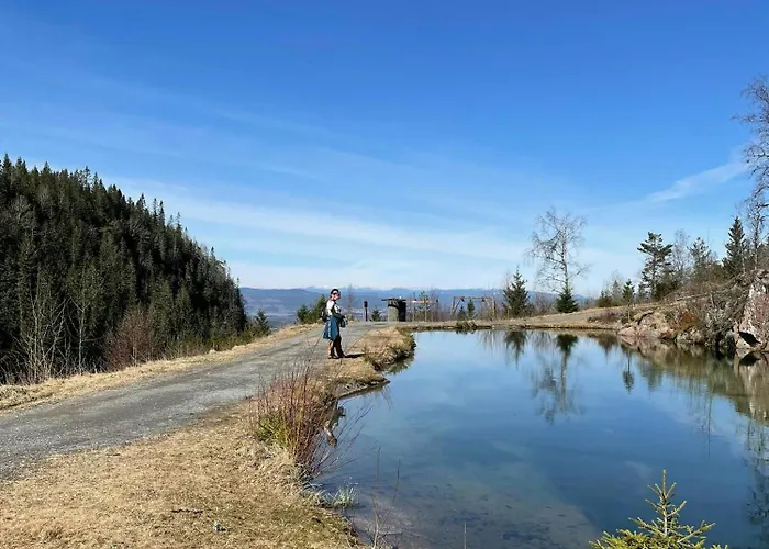 Family Cabin With Panoramic Views Of Tyrifjorden Semesterbostad